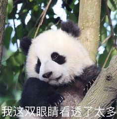 news/201910/283cbae8f97e7f4130a0297f05654858.jpeg