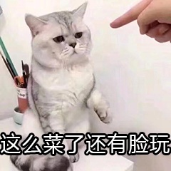 news/201910/3d52bd52f0591adb25d1256cf0a0e400_n.jpeg